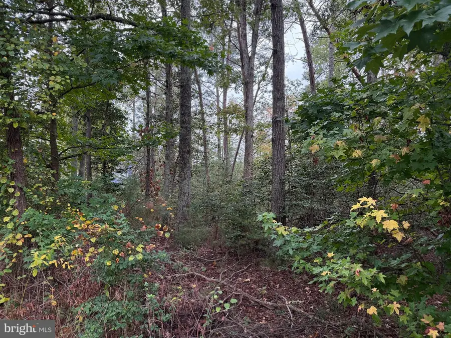 11240 Lord Baltimore Dr, Issue, MD 20645 - Image #3