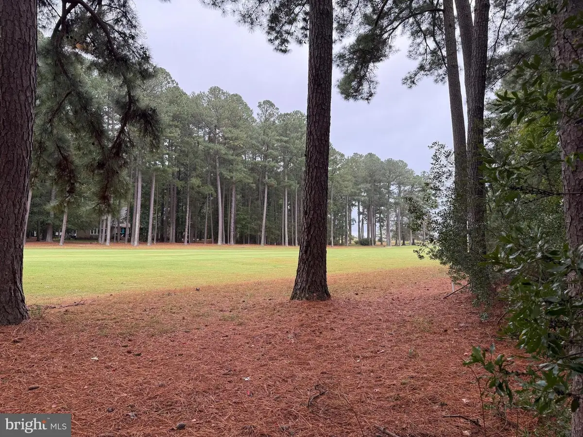 14975 Persimmon Ct, Issue, MD 20645 - Image #1