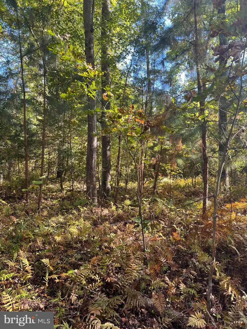 Maiden Point Farm Road, Newburg, MD 20664 - Image #2