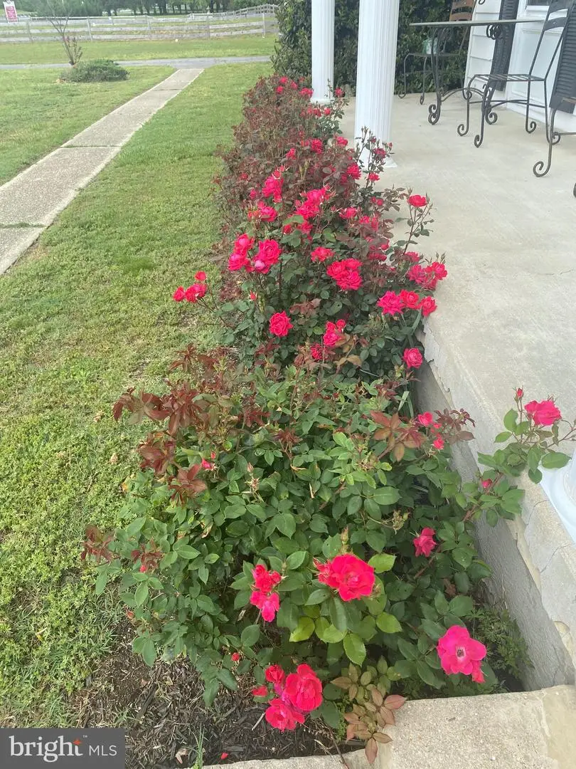 7146 Leonardtown Rd, Hughesville, MD 20637 - Image #3