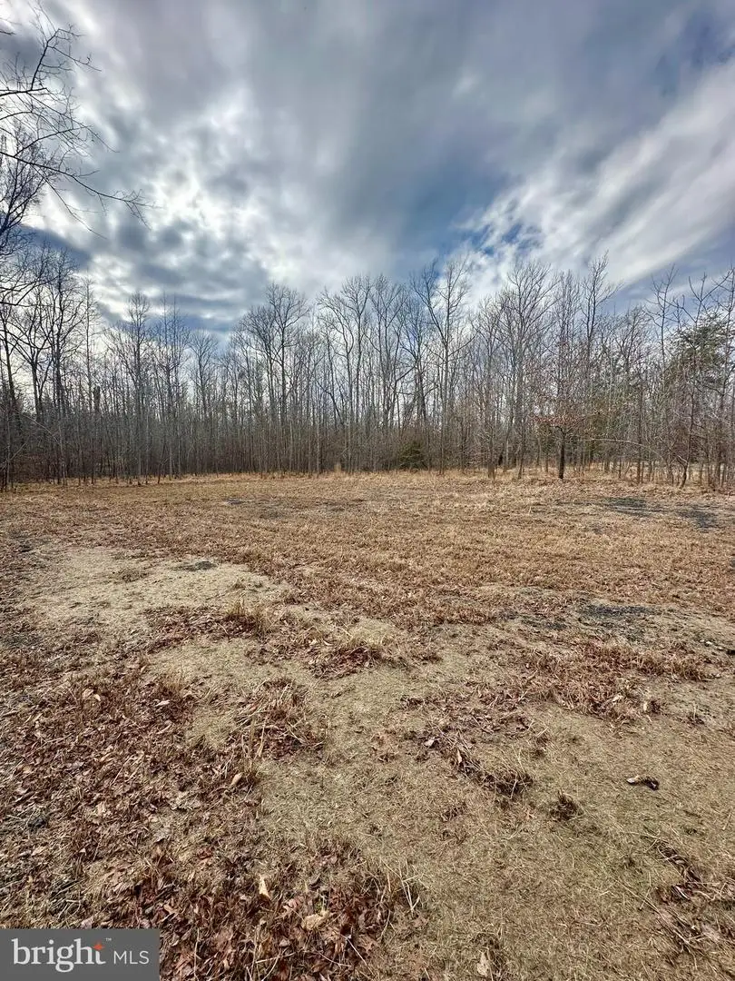 9680 Adams Willett Rd, Nanjemoy, MD 20662 - #3