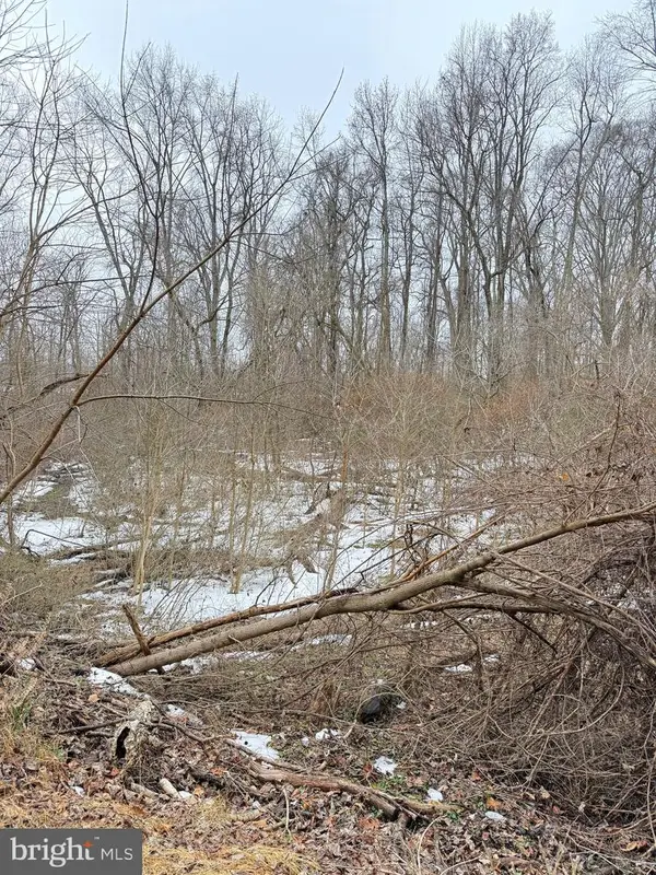 Parker Harley Pl, INDIAN HEAD, MD 20640