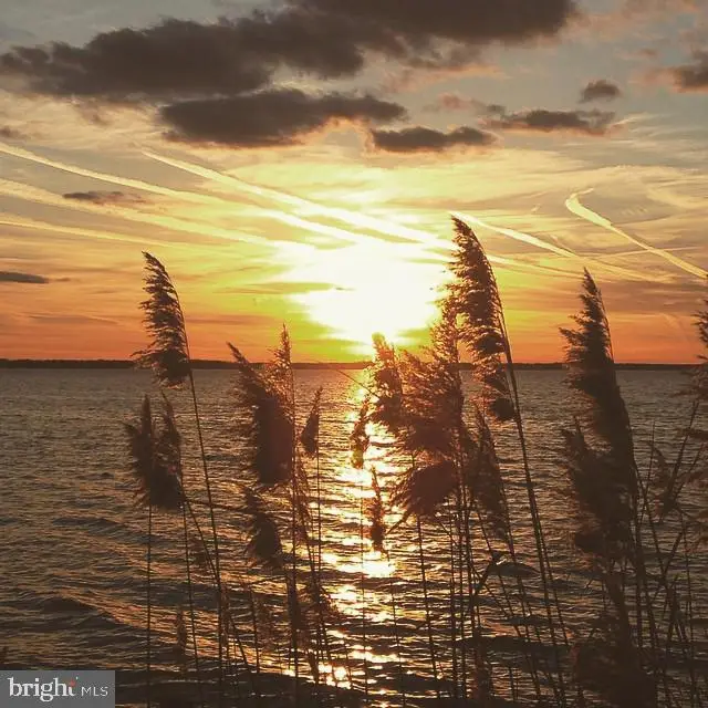 11610 Bachelors Hope Ct, Issue, MD 20645 - #1