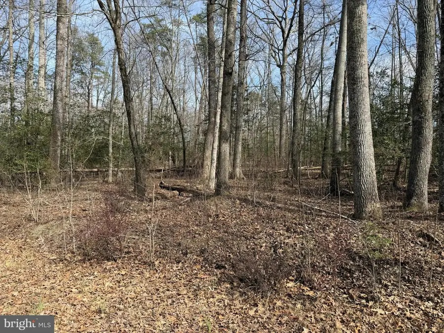 Lot 8a Park Ave, White Plains, MD 20695 - #2