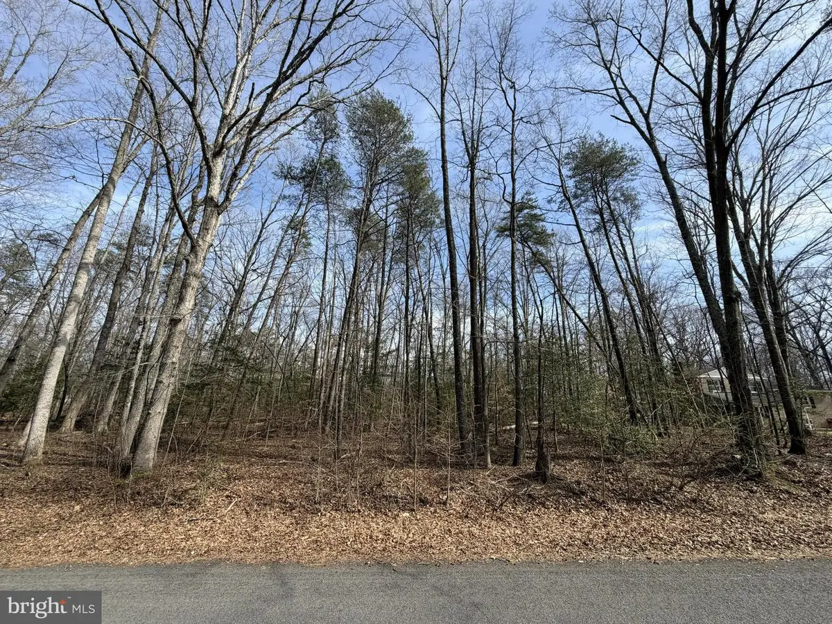 Lot 9a Park Ave, White Plains, MD 20695 - #1