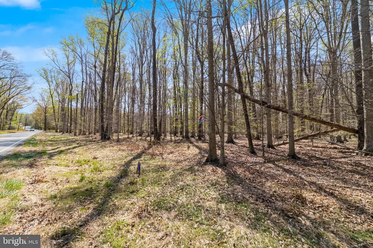 Lot 13 Billingsley Rd, White Plains, MD 20695 - #1