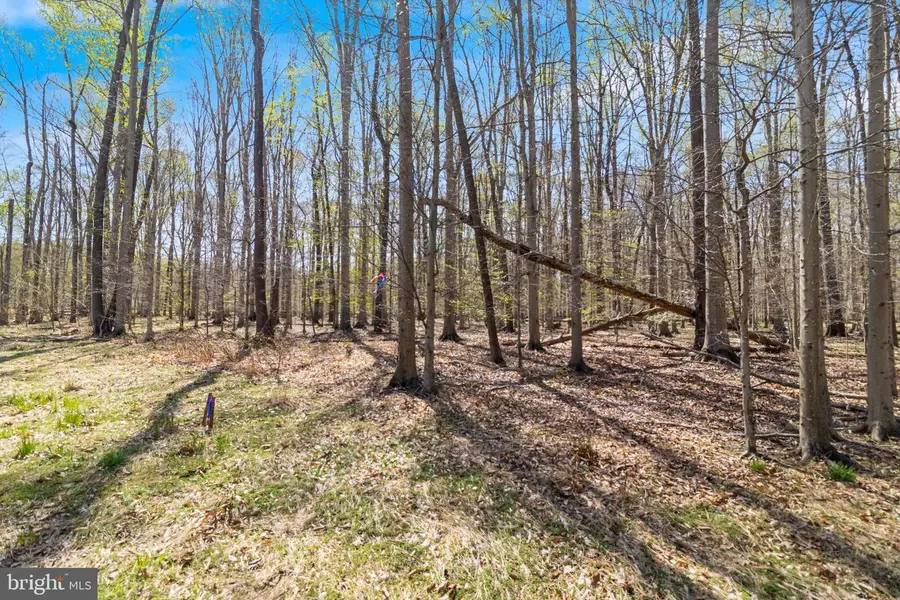 Lot 13 Billingsley Rd, White Plains, MD 20695 - #2