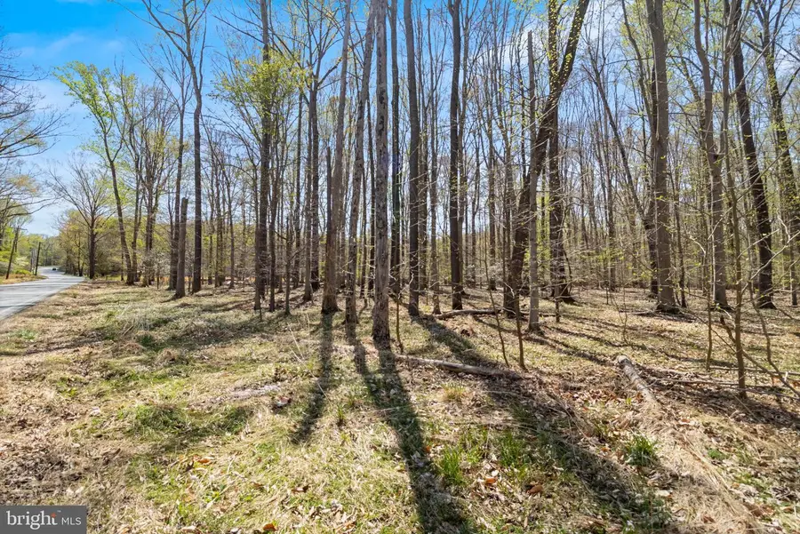 Lot 13 Billingsley Rd, White Plains, MD 20695 - #3