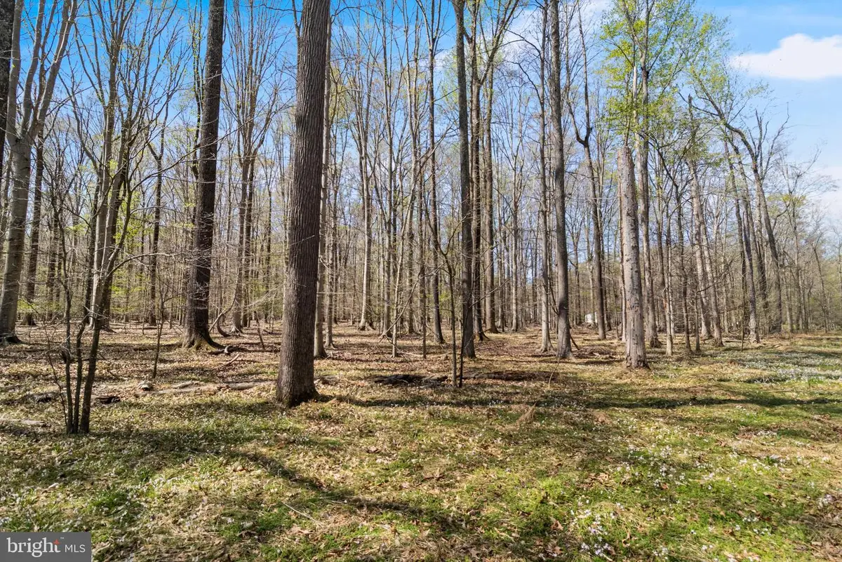 Lot 14 Billingsley Rd, White Plains, MD 20695 - #1