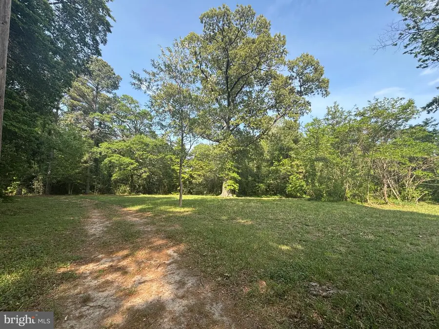 15567 Potomac River Dr, Cobb Island, MD 20625 - #2