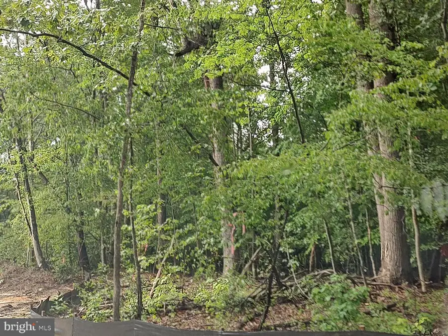 13135 Alyson Pl, Charlotte Hall, MD 20622 - #2