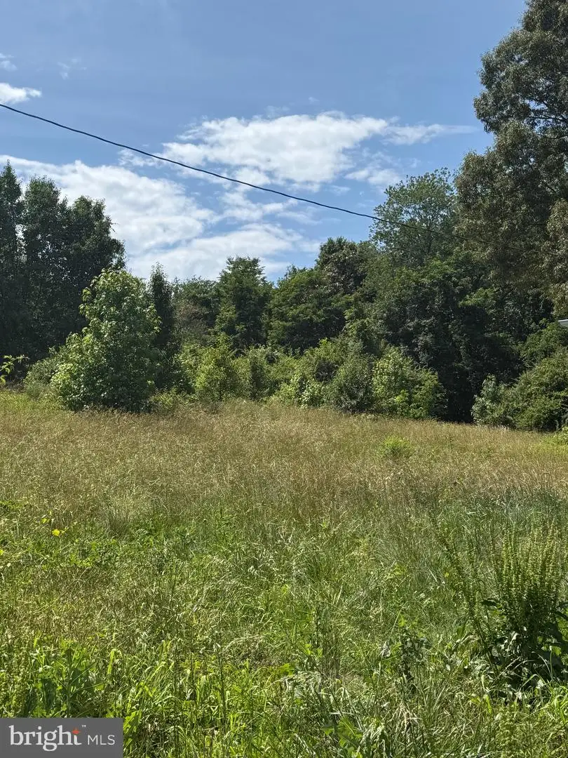 Parcel 550 Indian Head Hwy, Indian Head, MD 20640 - #3