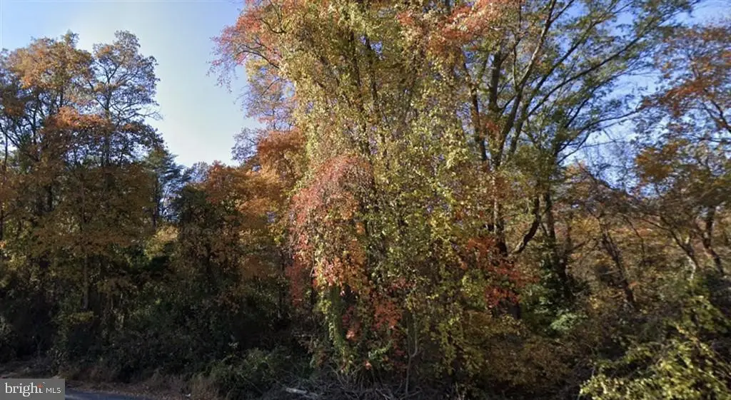 River Rd, Bryans Road, MD 20616 - #1