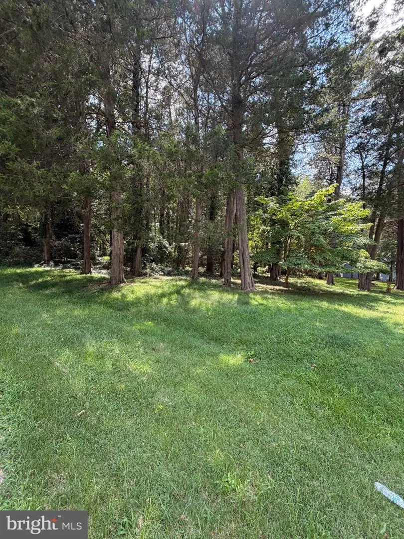 11915 Limestone Ct, Swan Point, MD 20645 - #2