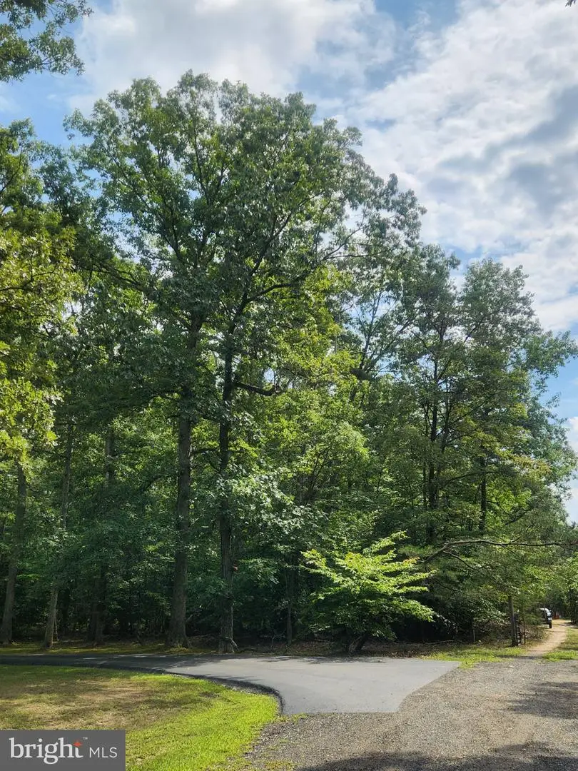 9740 Hickory Ln, La Plata, MD 20646 - #1