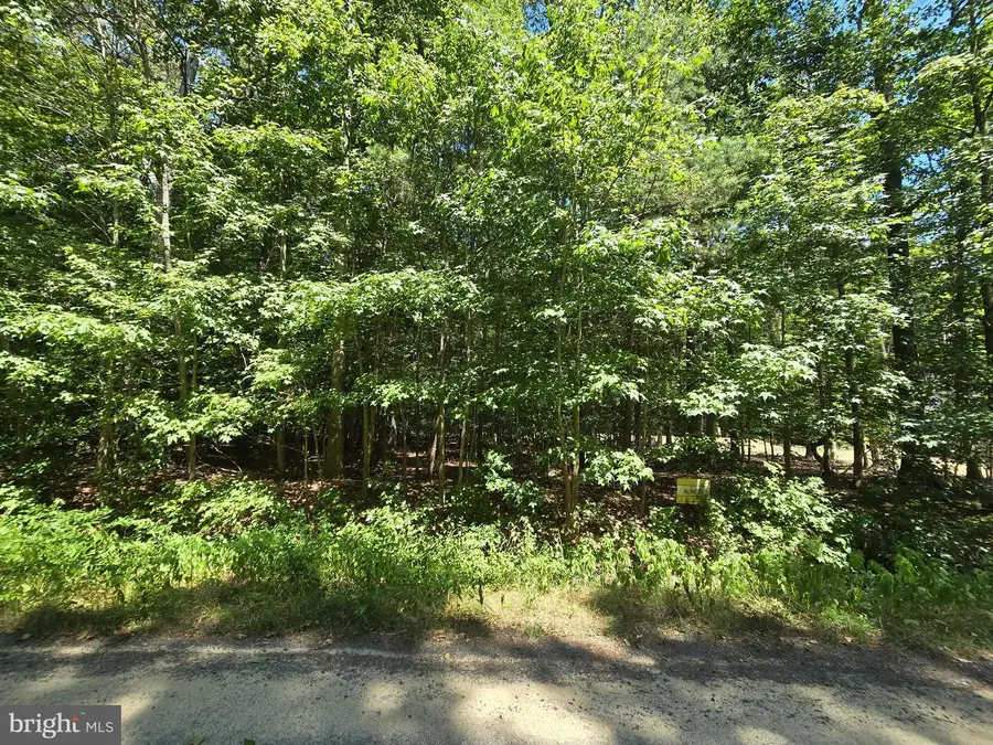 Laurel Ln, Denton, MD 21629 - Image #3