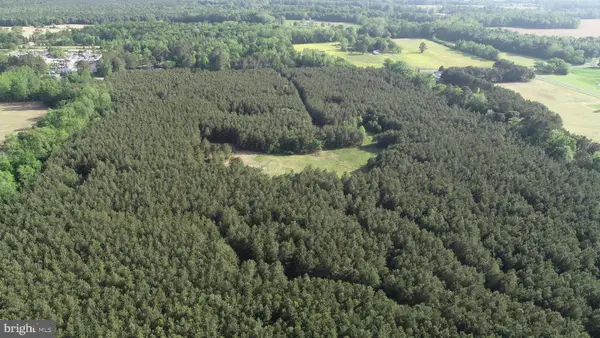 Dover Bridge Rd, PRESTON, MD 21655