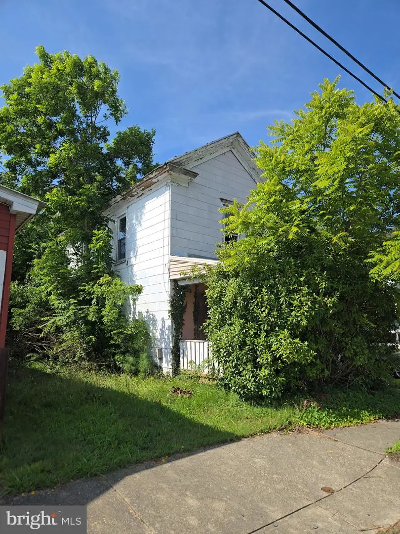 204 Academy Ave, Federalsburg, MD 21632 - Image #3