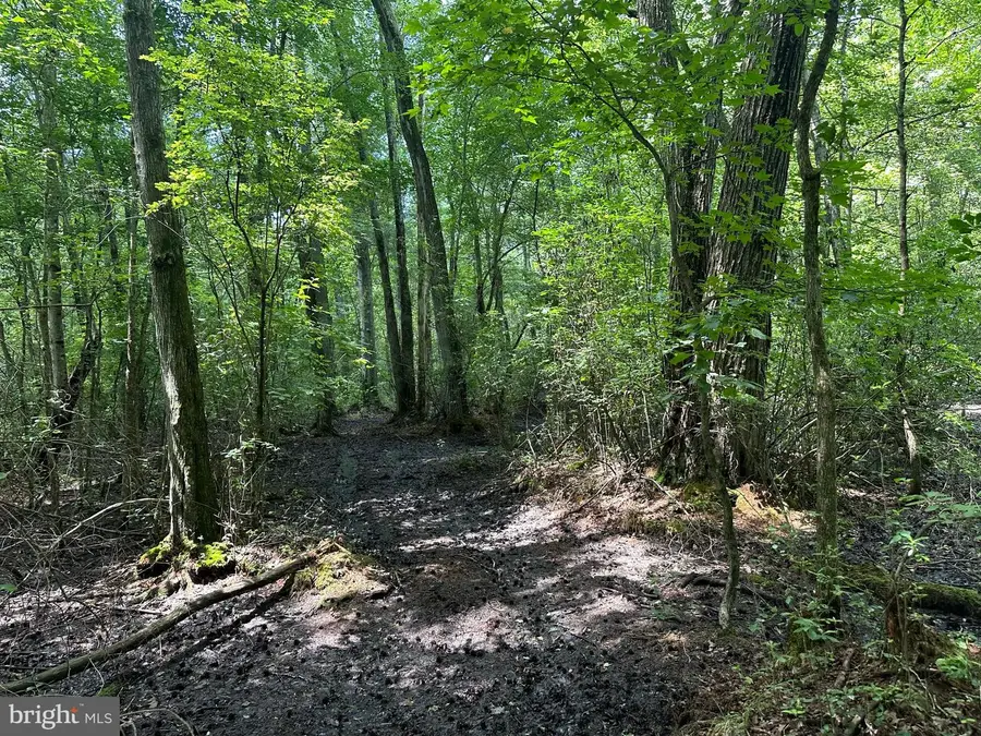 Temple Rd, Marydel, MD 21649 - Image #2