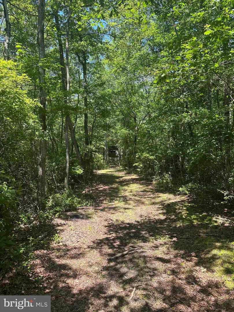 Temple Rd, Marydel, MD 21649 - Image #3