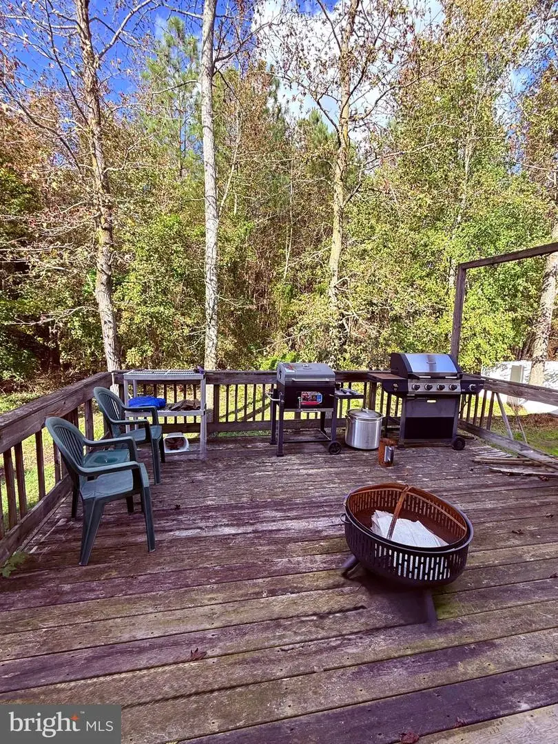 1233 Painted Fern Rd, Denton, MD 21629 - Image #3