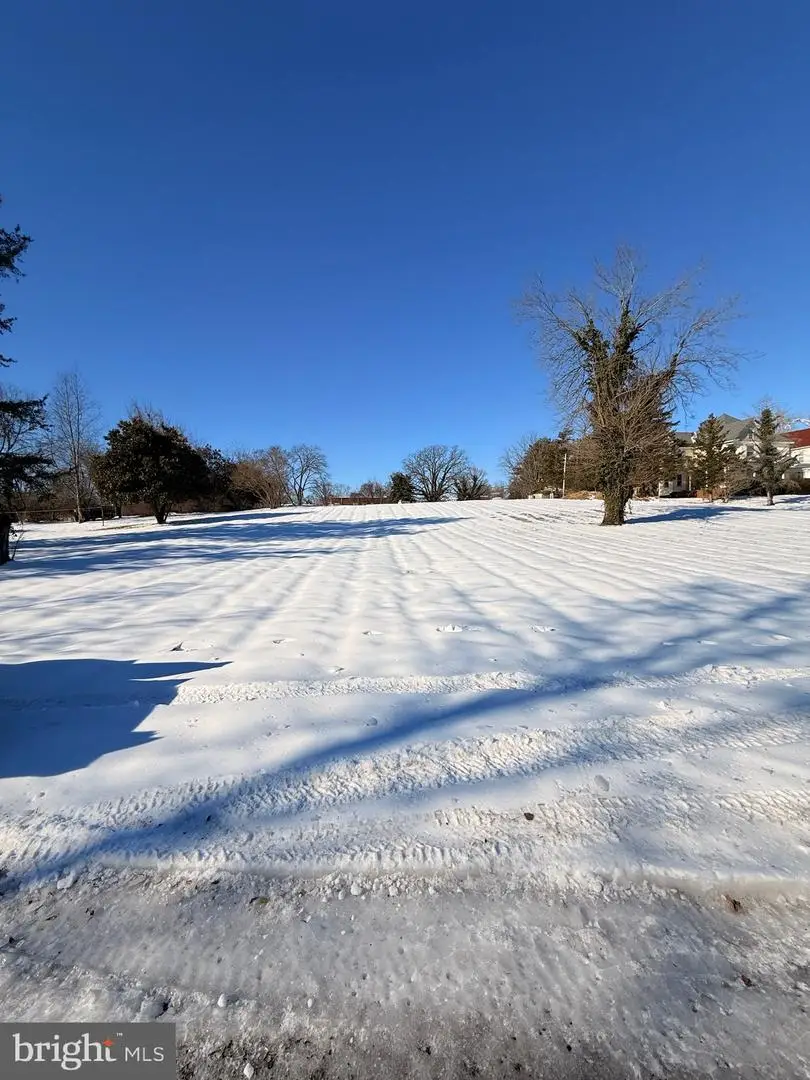 307 Buena Vista Ave, Federalsburg, MD 21632 - #2