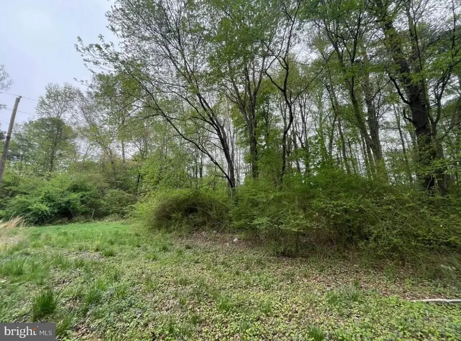 Nelpine Rd, Preston, MD 21655 - #2