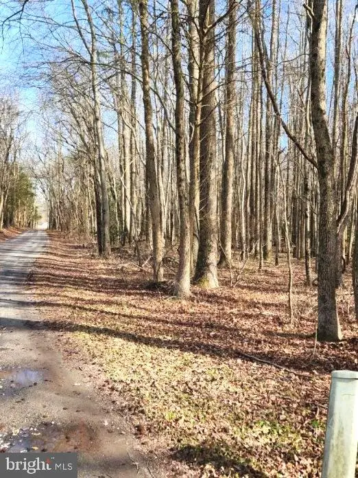 15589 Union Rd, Goldsboro, MD 21636 - #2