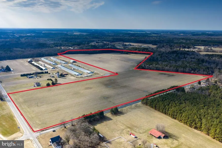 Liberty Rd, Federalsburg, MD 21632 - #2