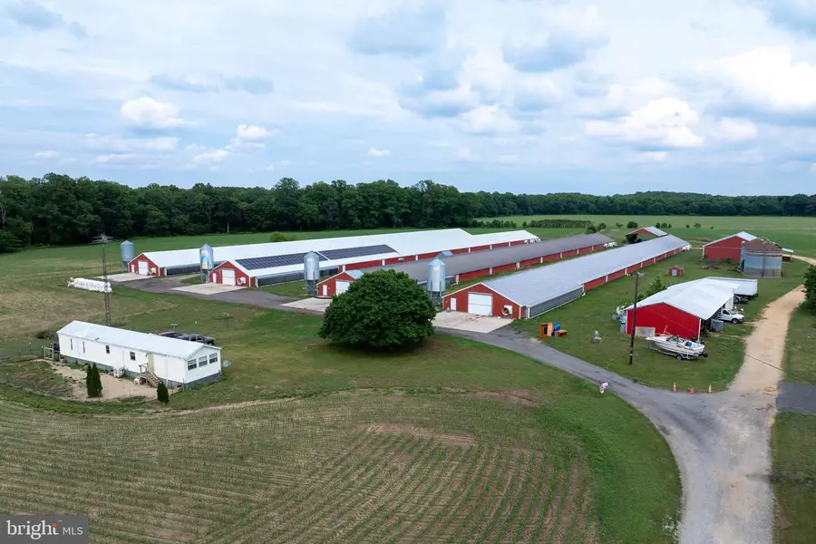 7347 Harmony Rd, Preston, MD 21655 - #2