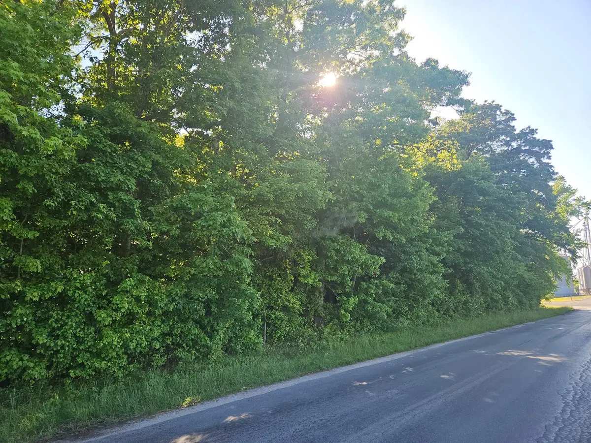 Lot 2 E Sunset Ave, 2 Greensboro, MD 21639 - #1