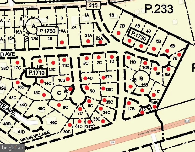 Liberty (rifkin Village) Rd, Federalsburg, MD 21632 - #3
