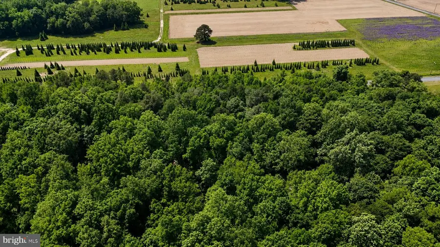 Havercamp Rd, Preston, MD 21655 - #3