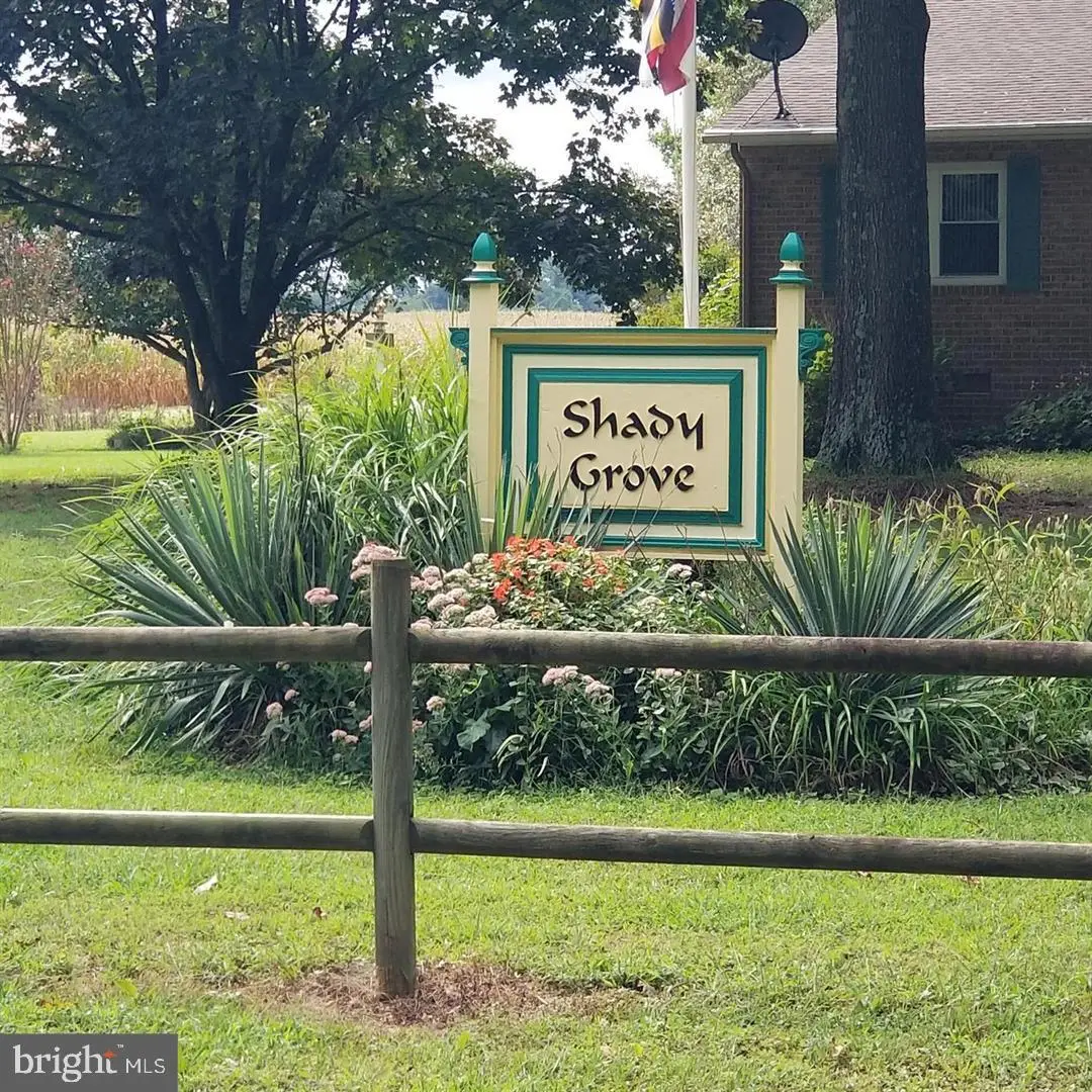 25629 Ischer Rd, Federalsburg, MD 21632 - #1