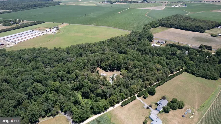 23130 Sparks Road Rd, Ridgely, MD 21660 - #2
