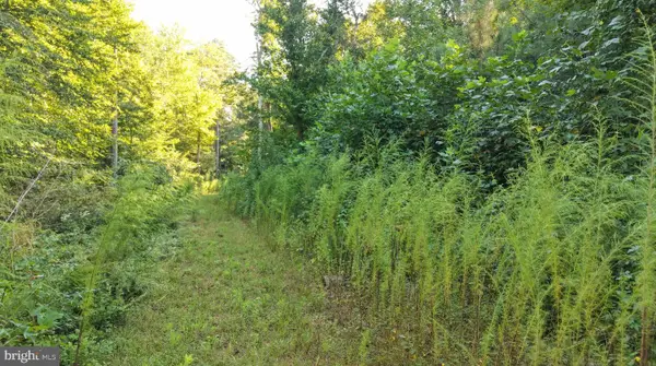 Parcel 3 Legion Rd, DENTON, MD 21629