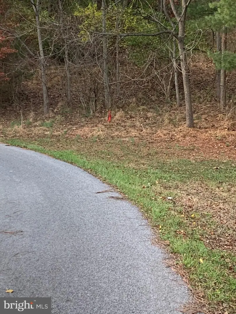 Leppo Rd, Westminster, MD 21158 - Image #3