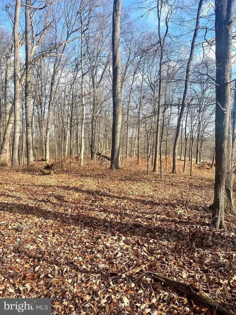 2650-2652 Baumgardner Rd, Westminster, MD 21158 - Image #3