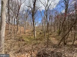 Hampstead Mexico Road, Hampstead, MD 21074 - Image #2