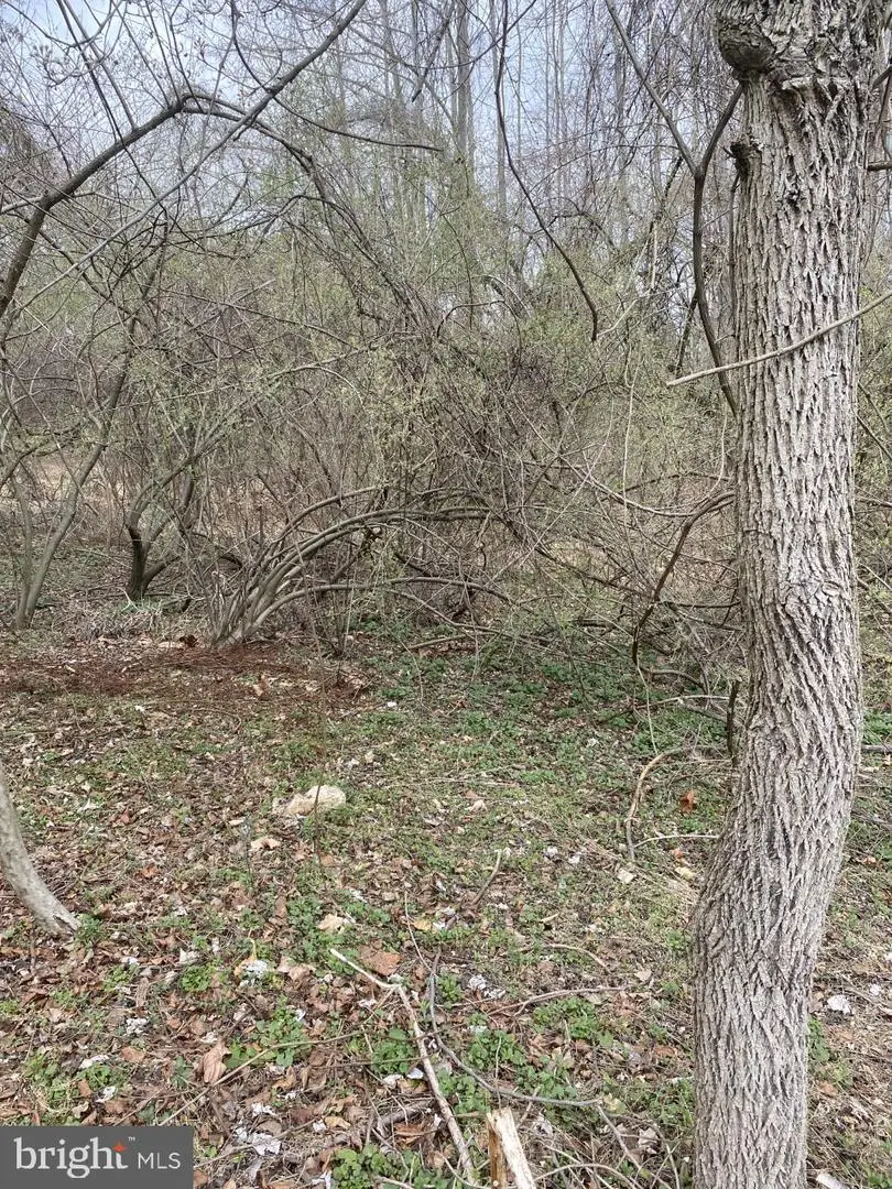 2772 Kays Mill Rd, Finksburg, MD 21048 - Image #3