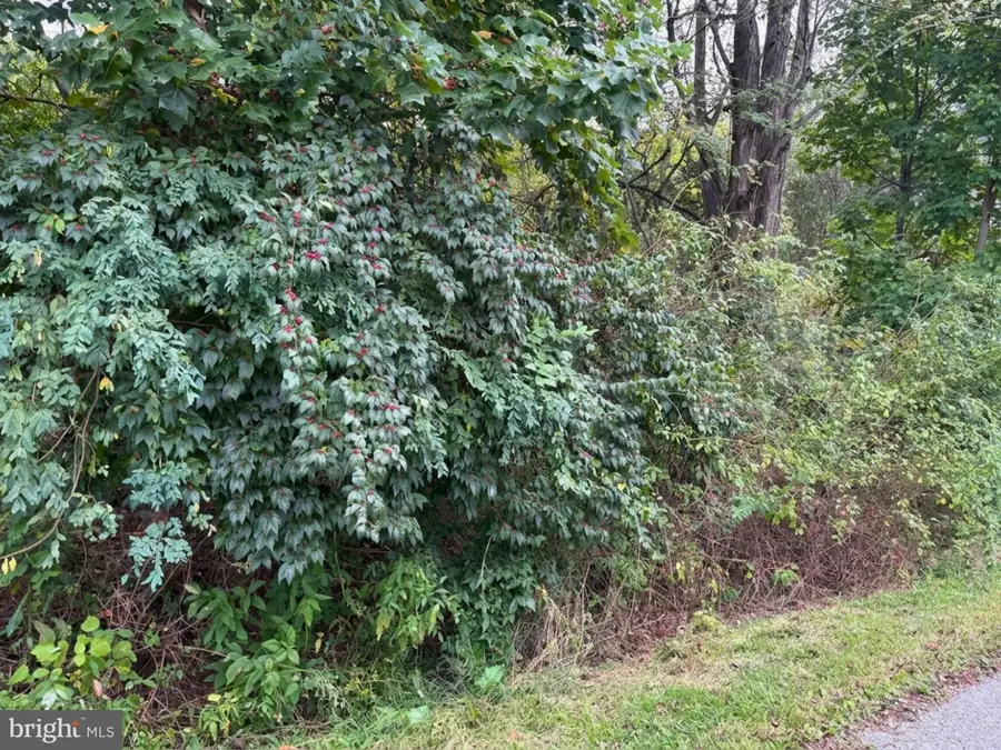 Martin Dr, Westminster, MD 21157 - #2