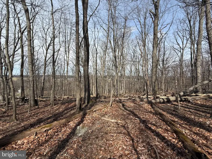 2849 Manchester Rd, Westminster, MD 21157 - #2