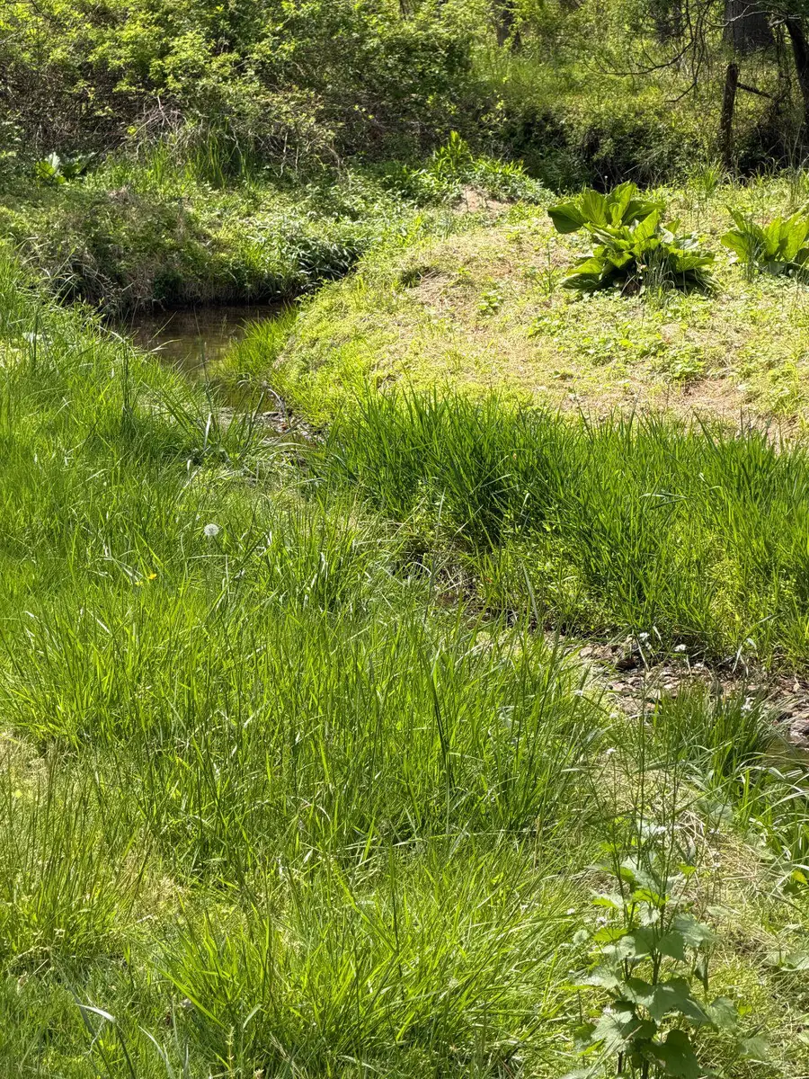 P.144 Bennett Rd, Sykesville, MD 21784 - #2