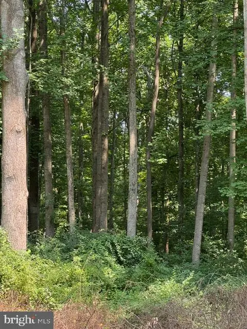4955 Old Washington Rd, Sykesville, MD 21784 - #3