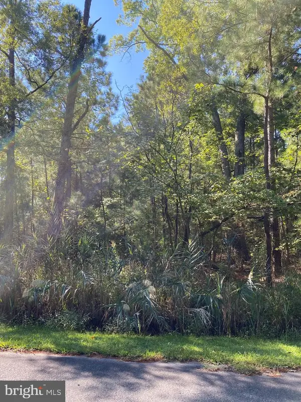 Parsons Dr, MADISON, MD 21648