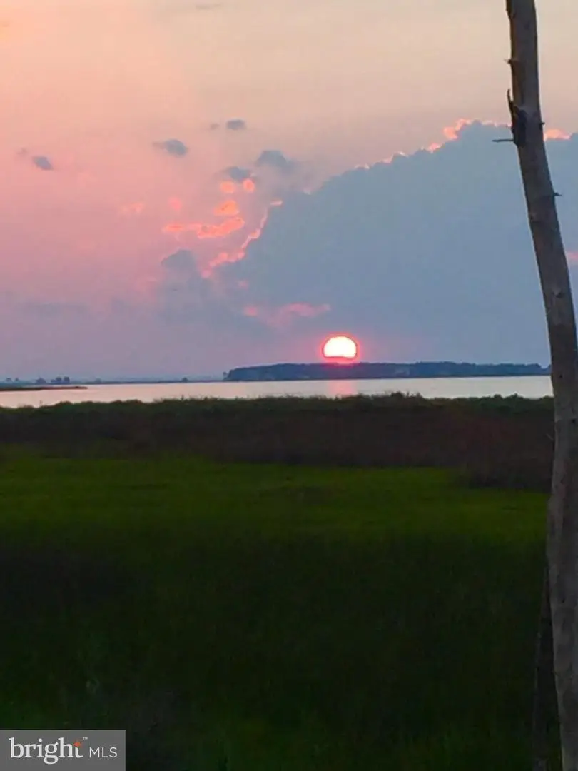 4926 Timbermarsh Ln, Woolford, MD 21677 - Image #2