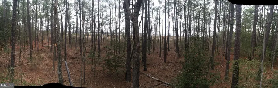 4926 Timbermarsh Ln, Woolford, MD 21677 - Image #3