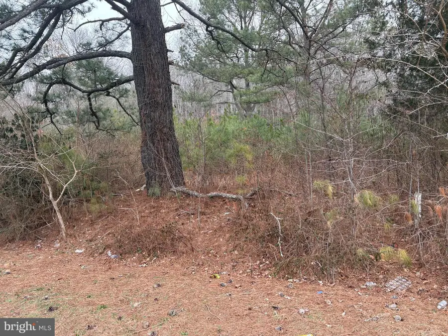 3634 Ocean Gtwy, East New Market, MD 21631 - Image #2