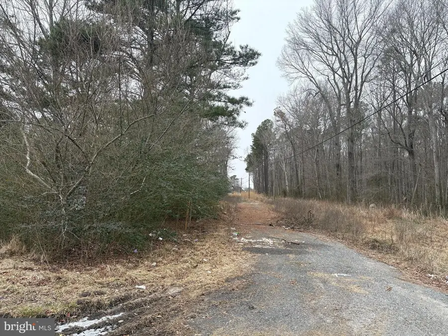 3634 Ocean Gtwy, East New Market, MD 21631 - Image #3