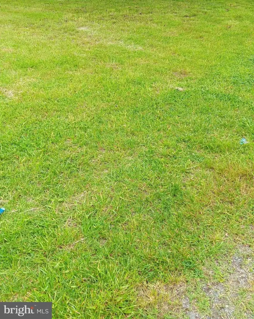 814 Park Ln, Cambridge, MD 21613 - Image #1